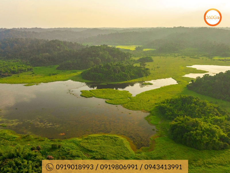 Hệ sinh thái đa dạng và phong phú - Du lịch 360Go